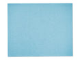 FESTOOL ACCESSORY 201259 Abrasive paper 230x280 P100 GR/10